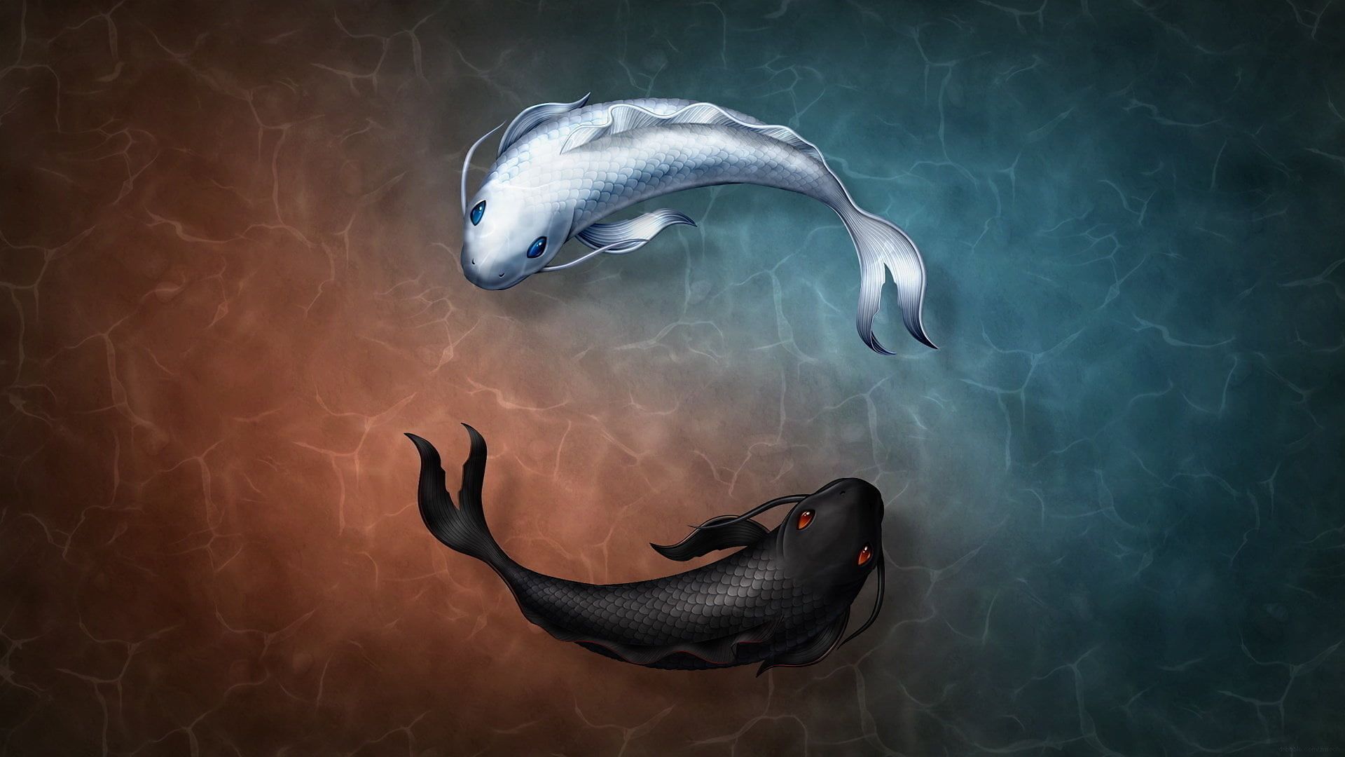 black and white coy fishes illustration, two black and white coi swimming on water animation #fish Yin and Yang #s. Koi wallpaper, Fish illustration, Yin yang koi