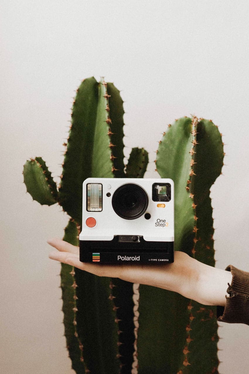 A person holding a Polaroid camera in front of a cactus. - Polaroid