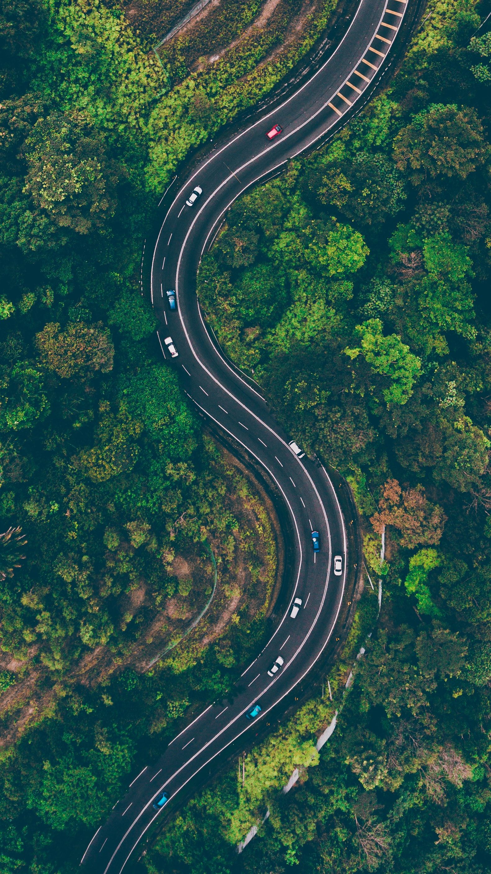 Aerial view of a road in the middle of a forest - Road