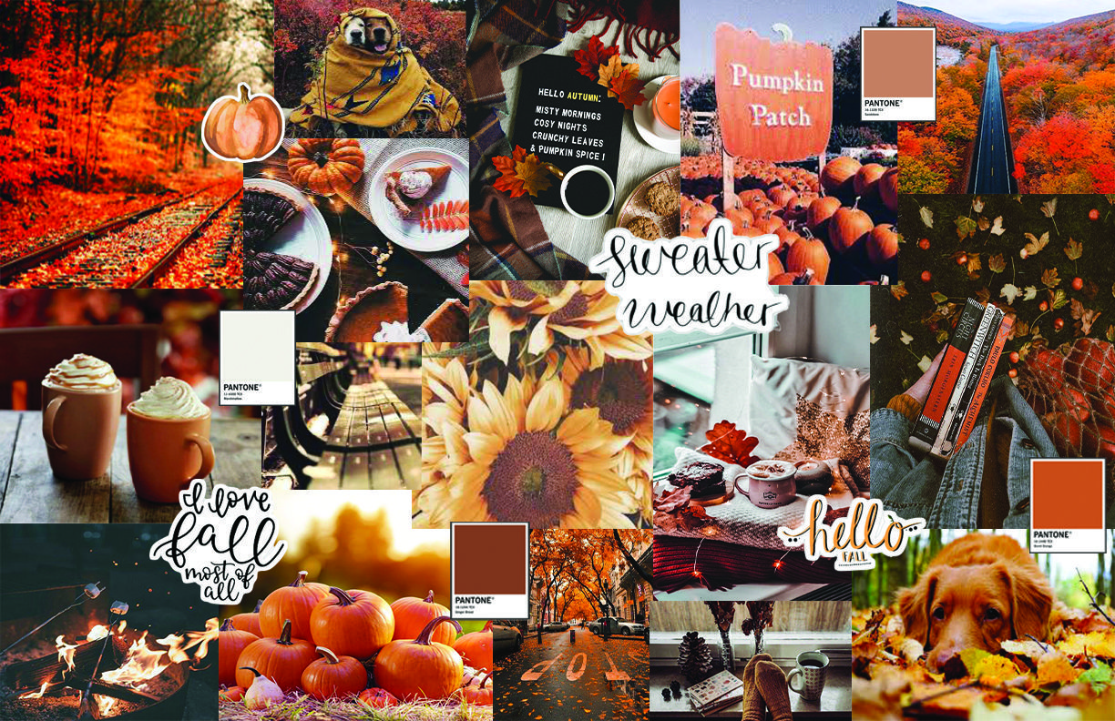 A mood board featuring fall elements such as sunflowers, pumpkins, and coffee. - Fall
