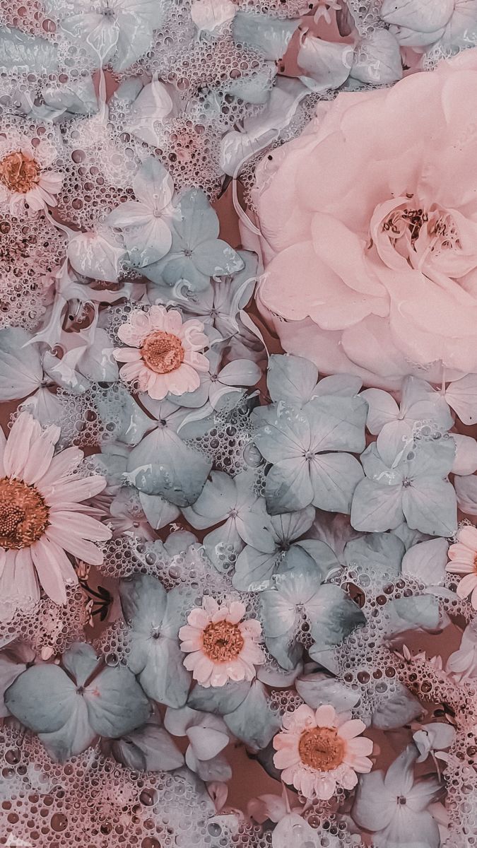 Обои для телефона. Flower iphone wallpaper, Flower background wallpaper, Pink wallpaper iphone
