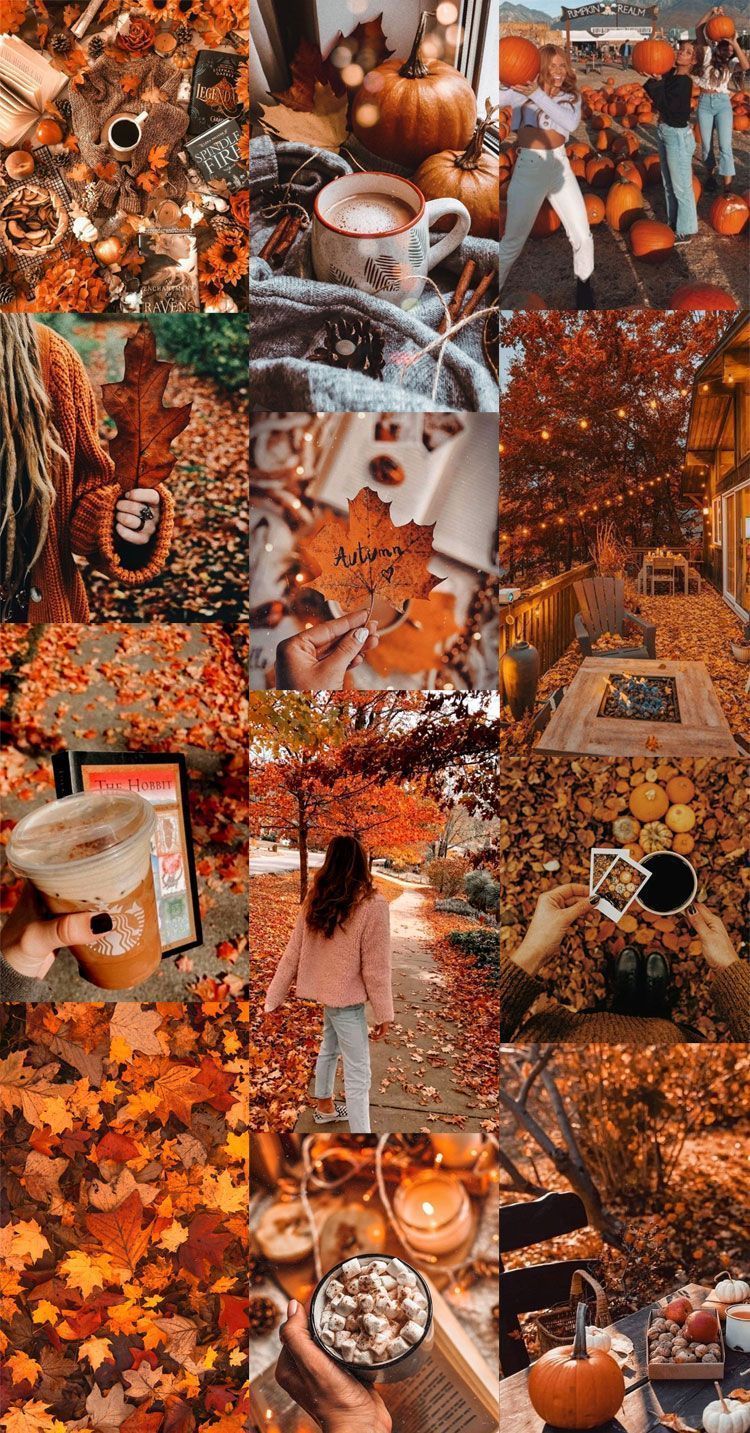 A collage of pictures with fall leaves and pumpkins - Fall, cozy, fall iPhone, pumpkin