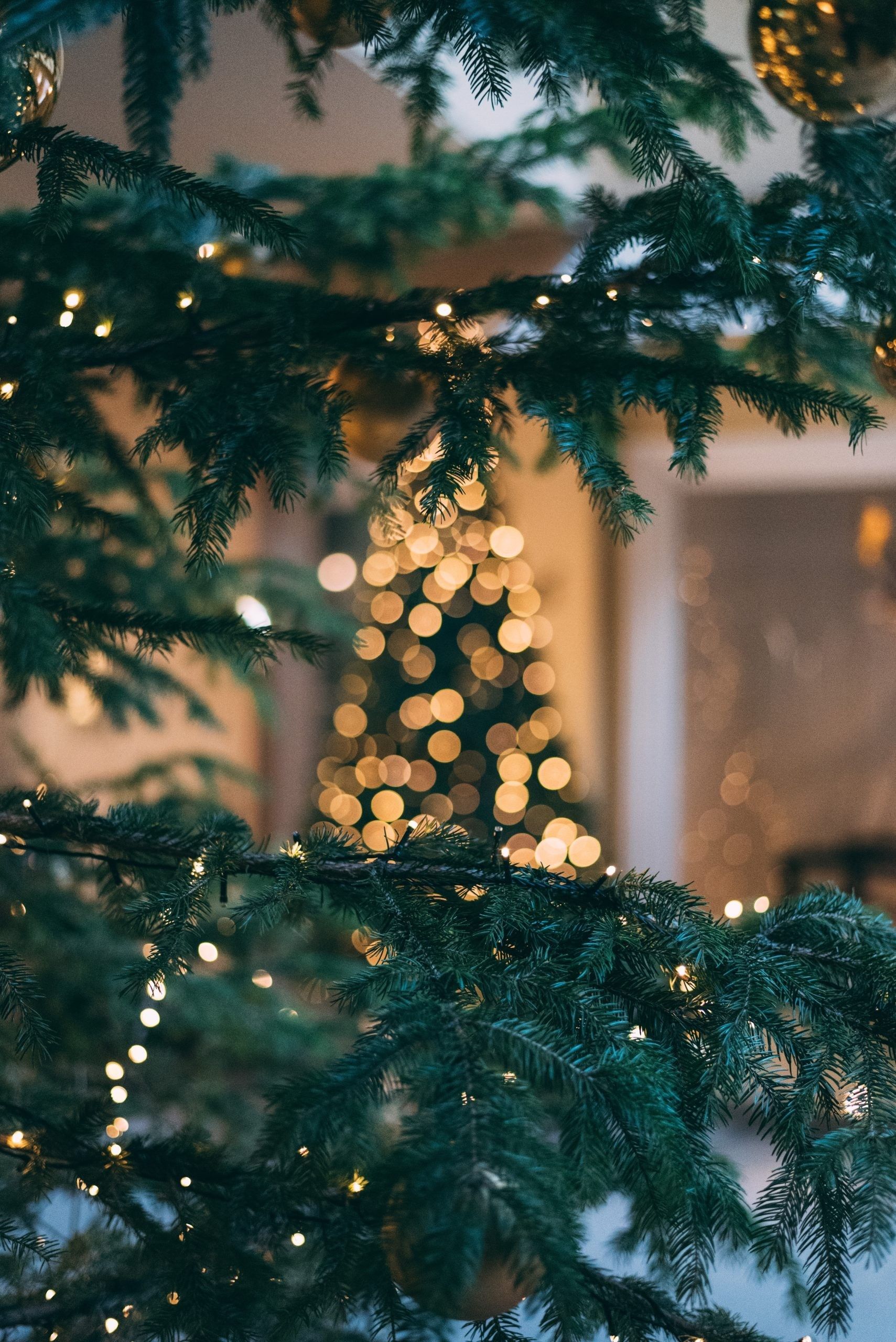 A close up of a Christmas tree with a blurred out Christmas tree in the background. - Christmas iPhone, cozy, vintage fall, iPhone, December, fashion, cute Christmas, warm, Christmas lights, Christmas, white Christmas, New Year