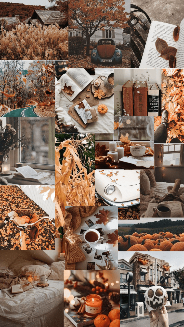 A collage of images of pumpkins, leaves, books, and tea. - Cozy, fall iPhone