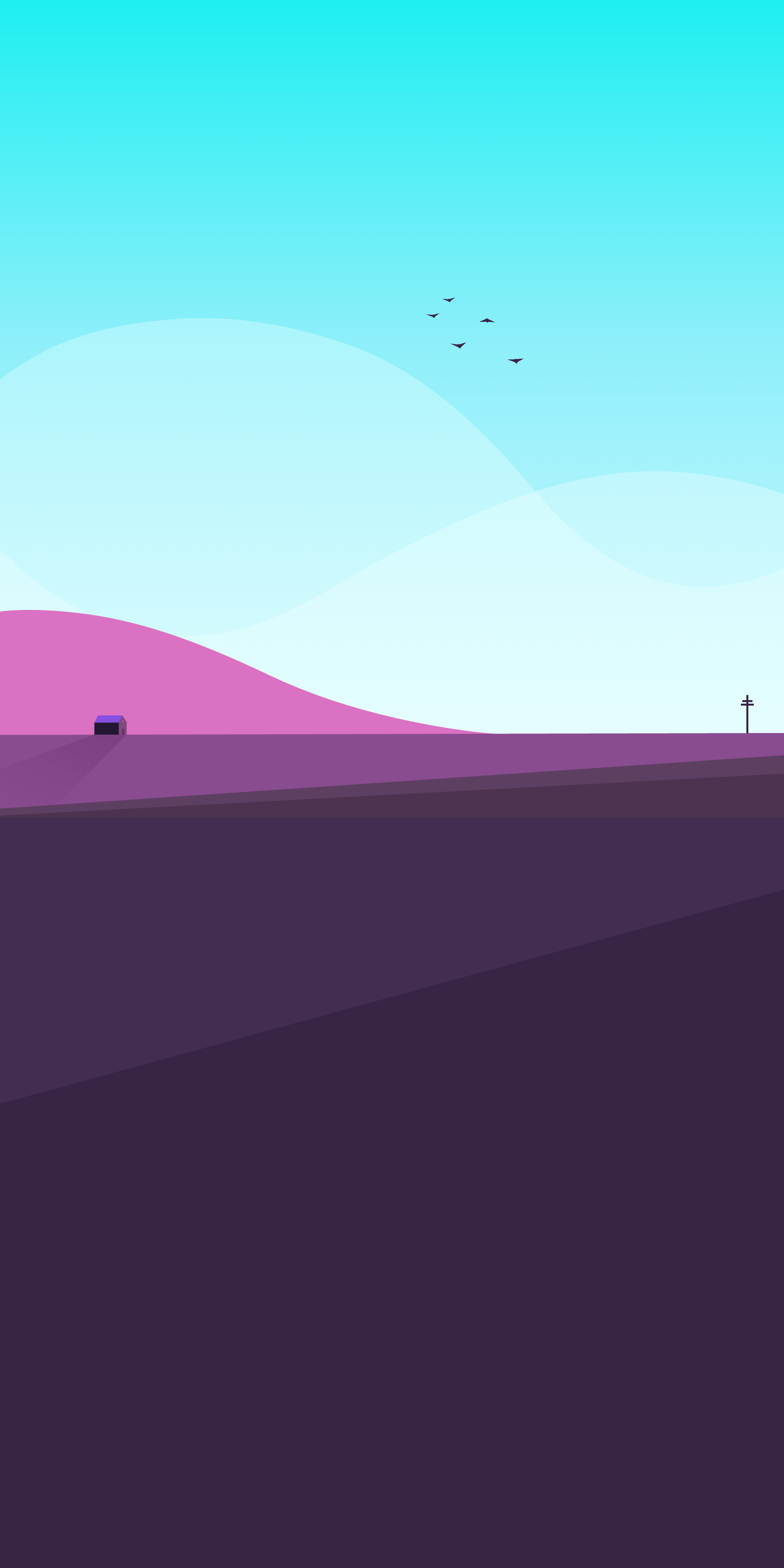 minimal landscape