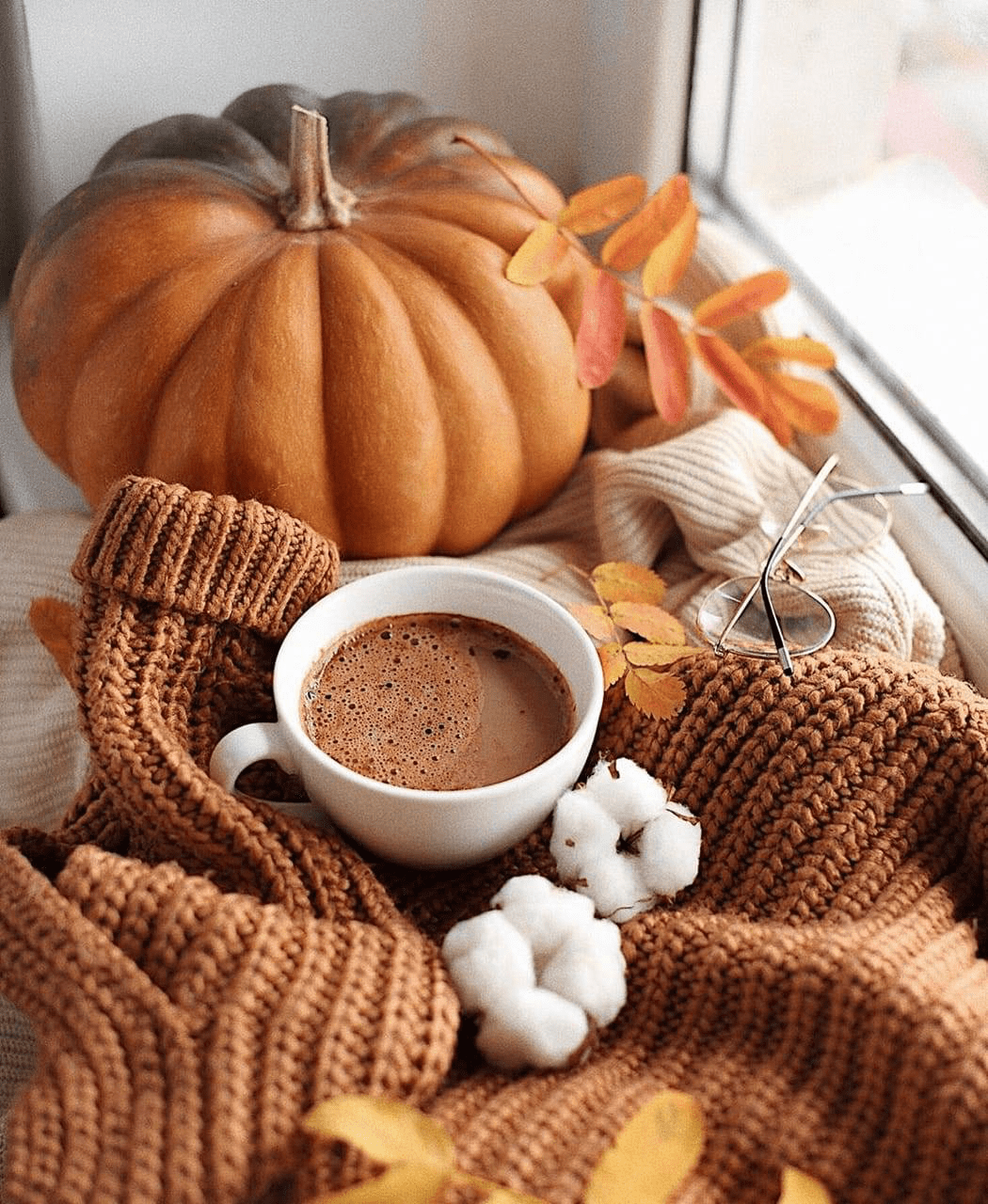 A cup of coffee with a pumpkin and a sweater - Cozy