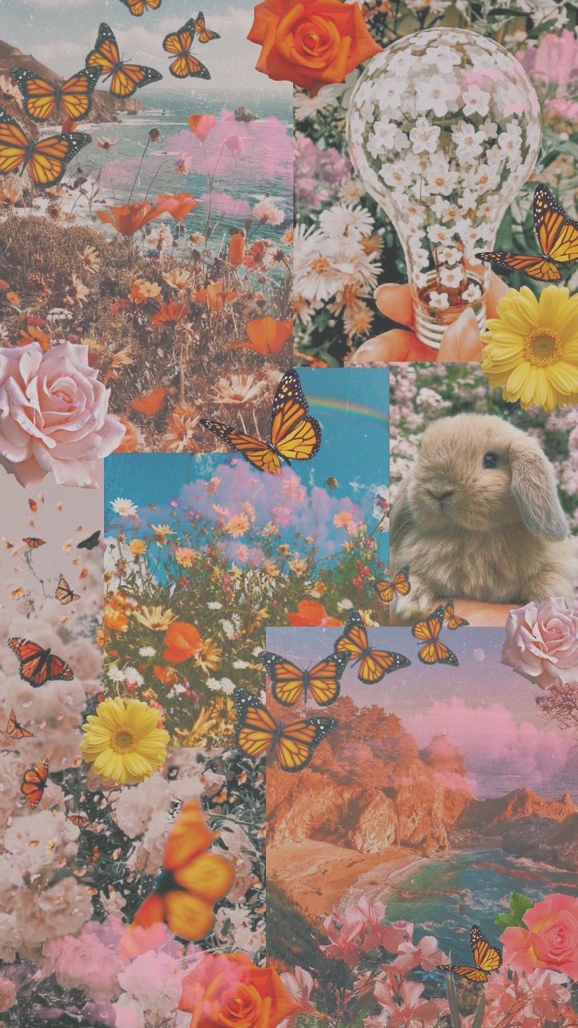Aesthetic wallpaper for phone with butterfly, rabbit, and flower pictures - Spring