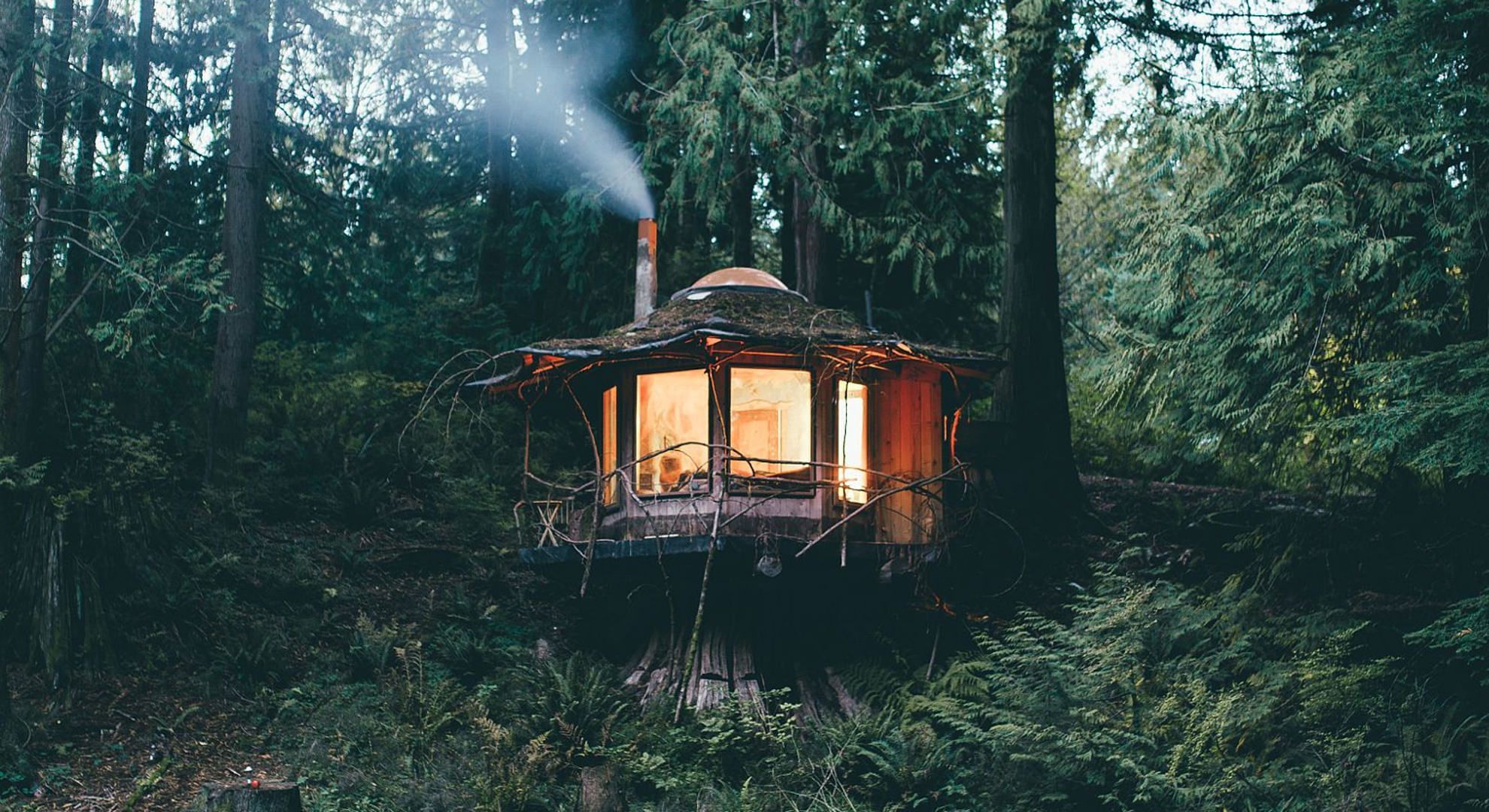 A small cabin in the middle of some trees - Cozy