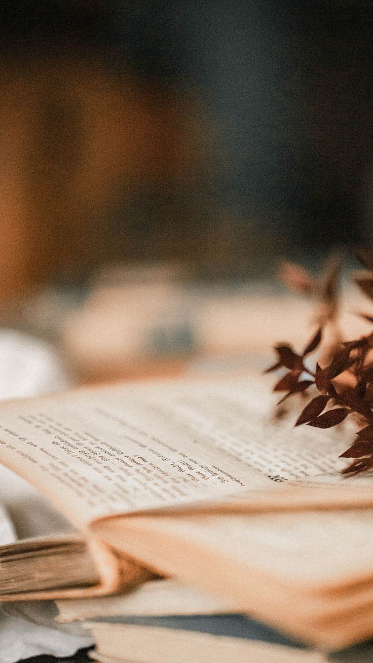 A book with a plant on top of it - Books