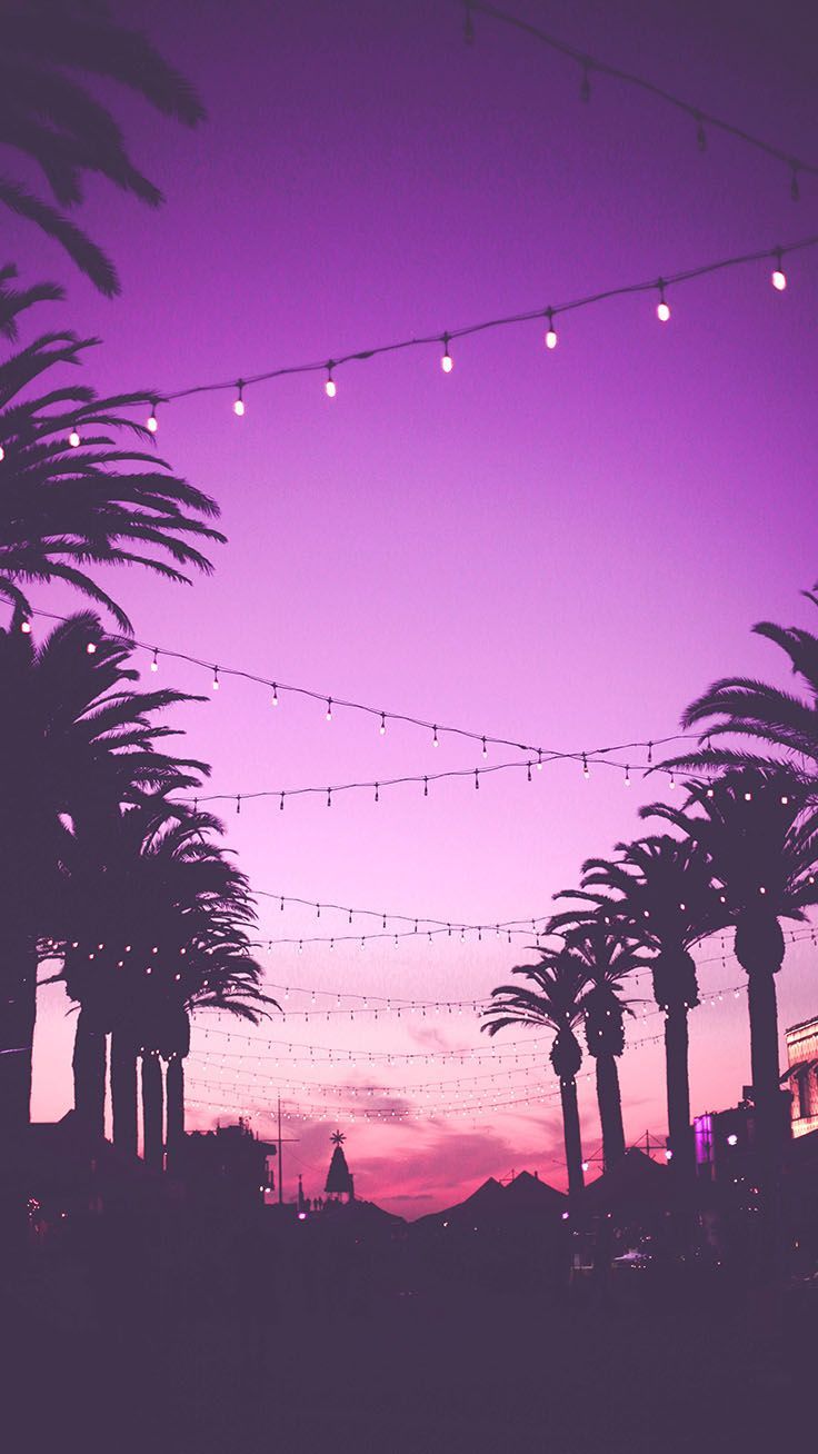 A purple sky with palm trees and street lights - Sunset