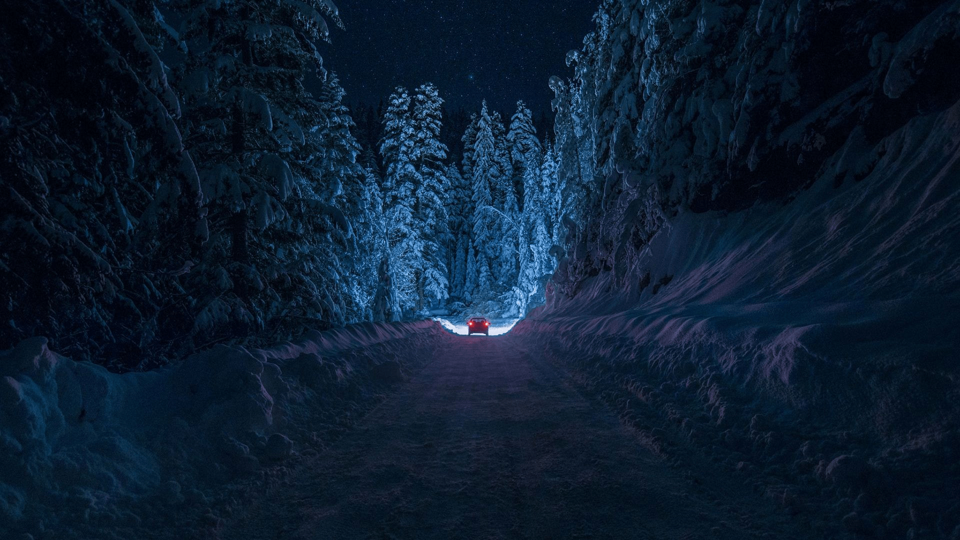 Person standing in the middle of a snowy forest at night - Dark blue, navy blue, 1920x1080