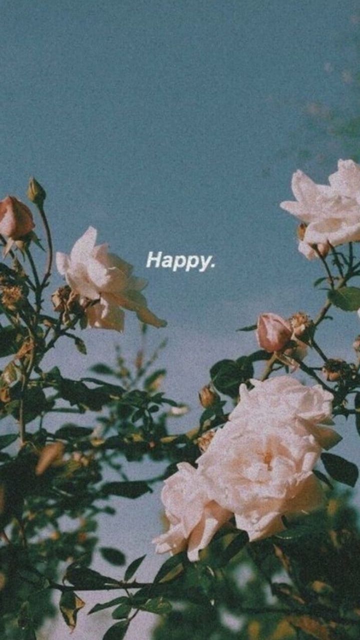 IPhone wallpaper of pink roses with the words 