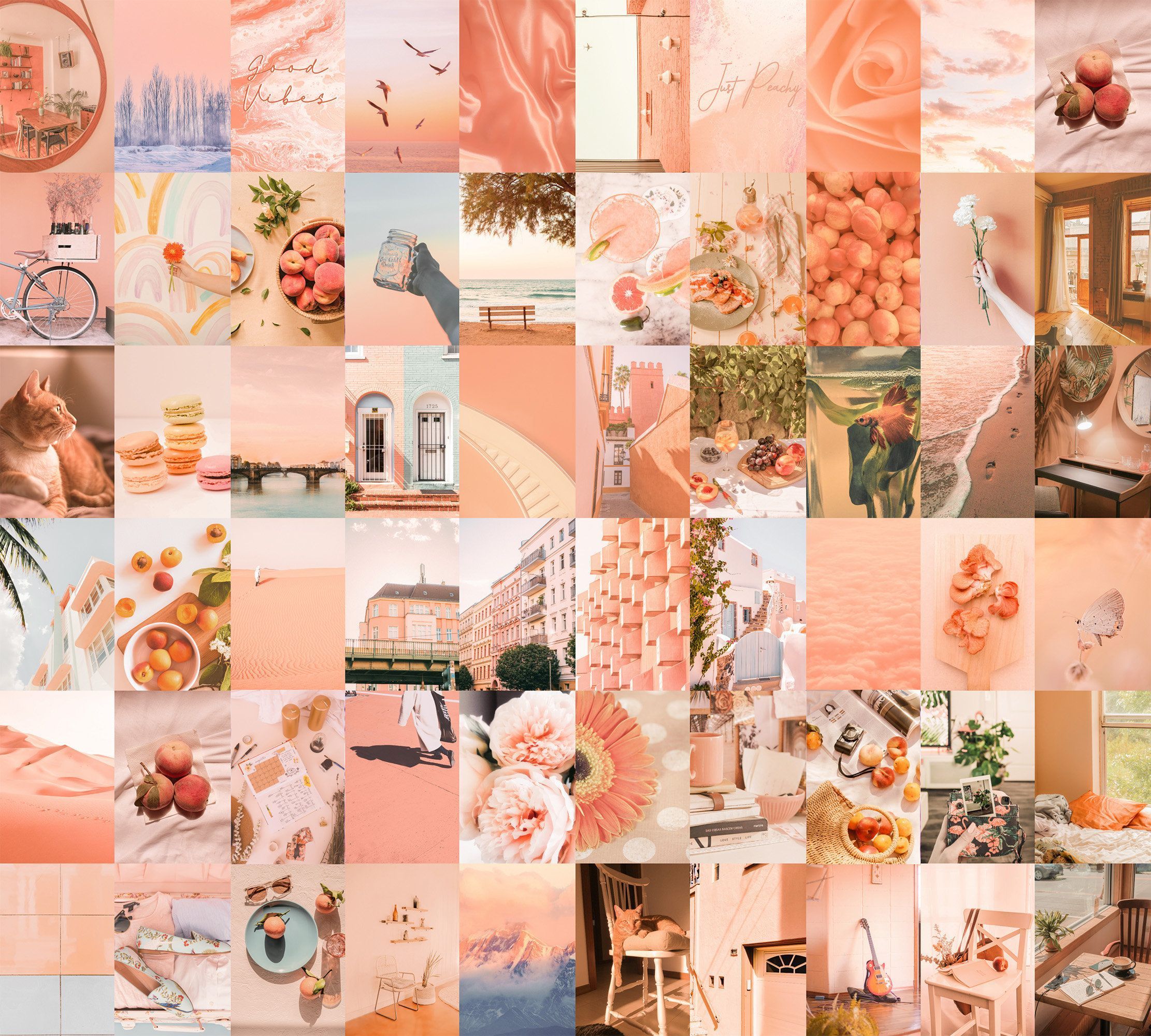 A collage of peach and coral aesthetic pictures. - Peach