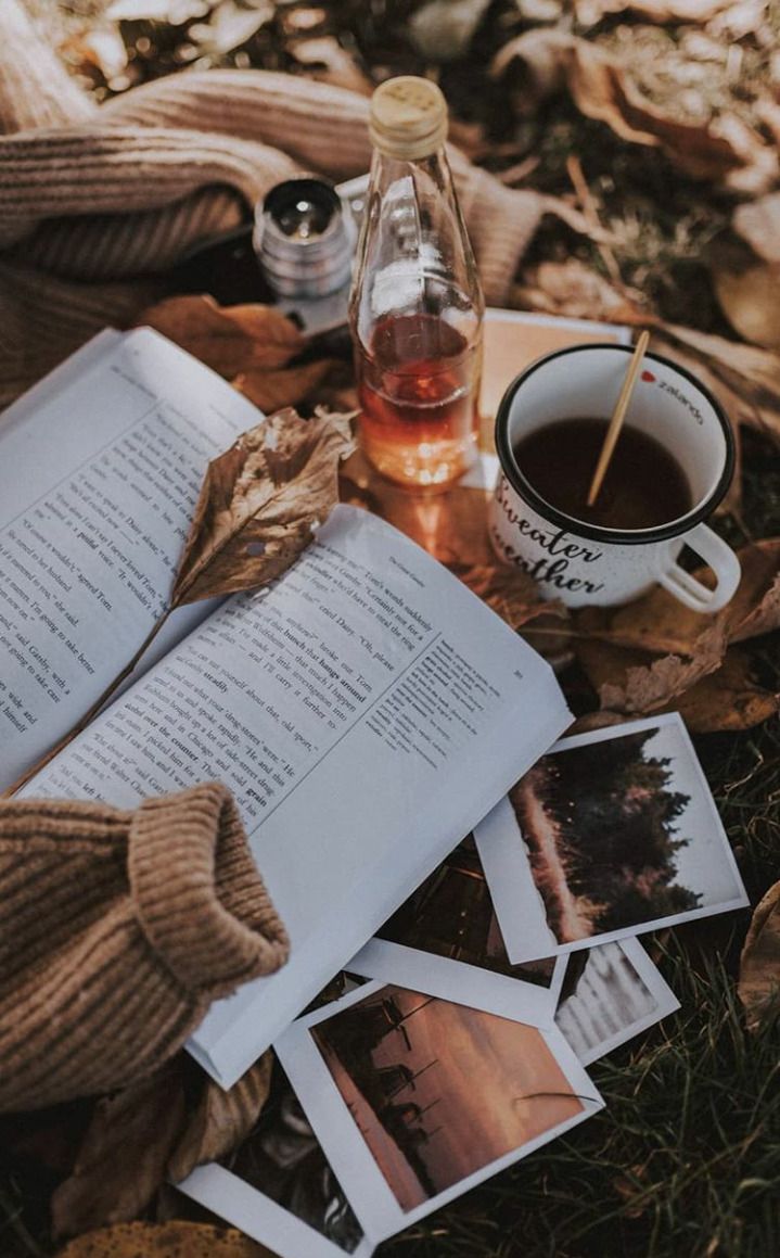 An open book, a cup of tea, a bottle of honey, and a sweater. - Cozy, vintage fall