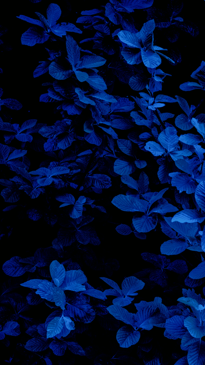 Dark Blue Wallpaper