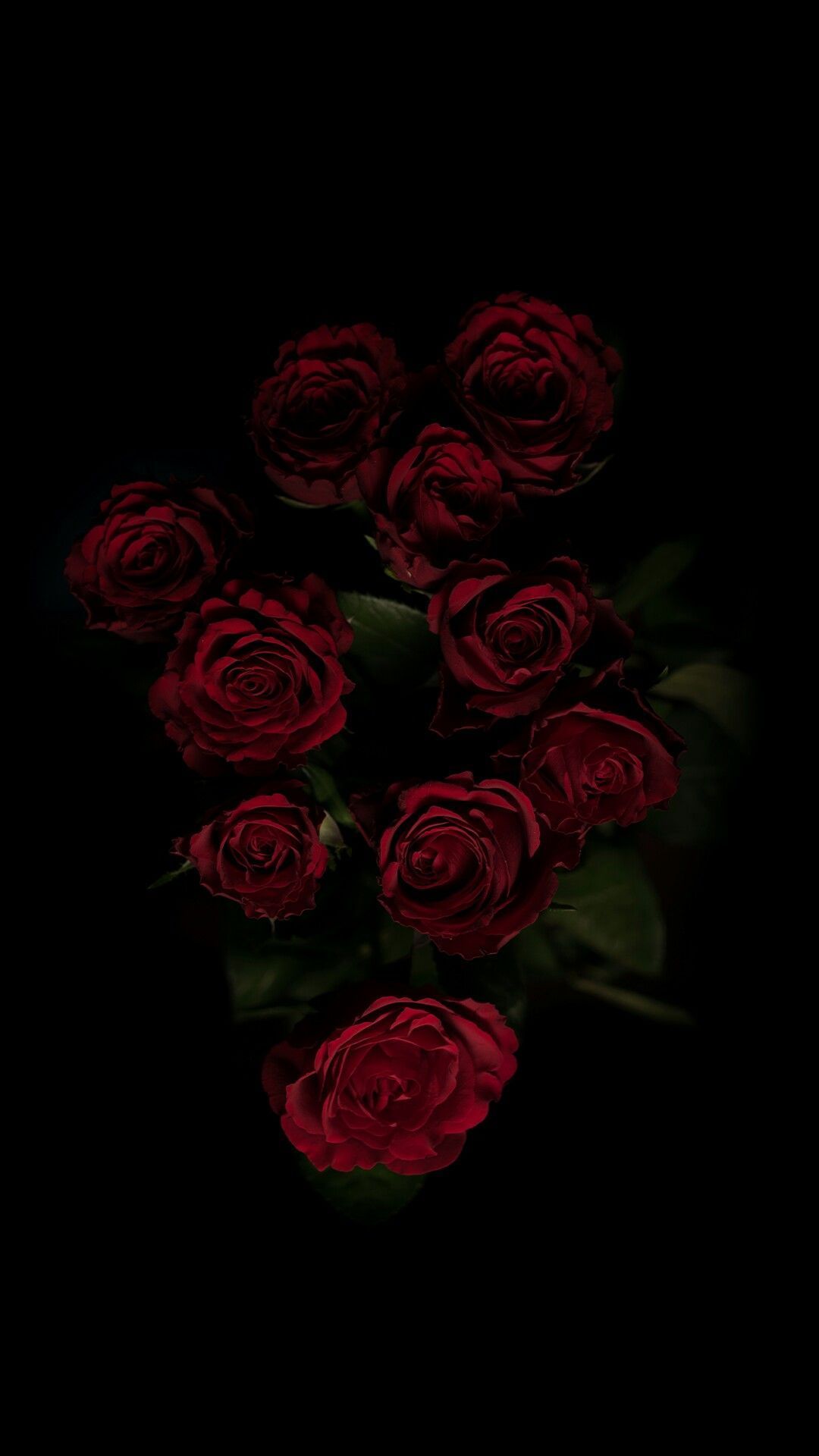 Red roses on a black background - Roses, dark red, photography, black rose, gothic