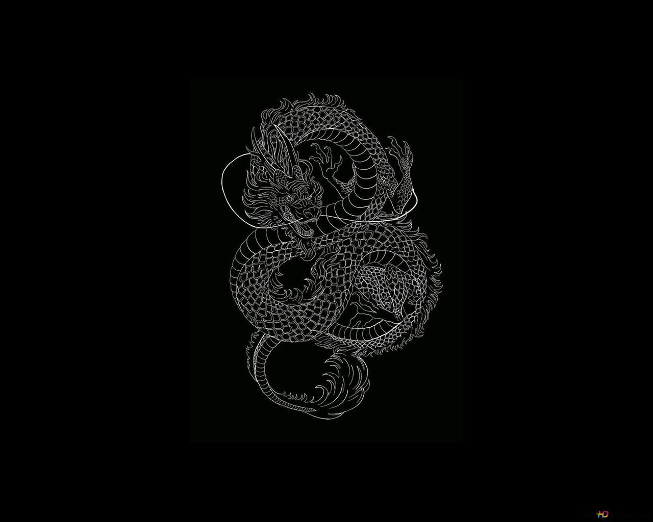 Black and white line art of a dragon on a black background - Dragon