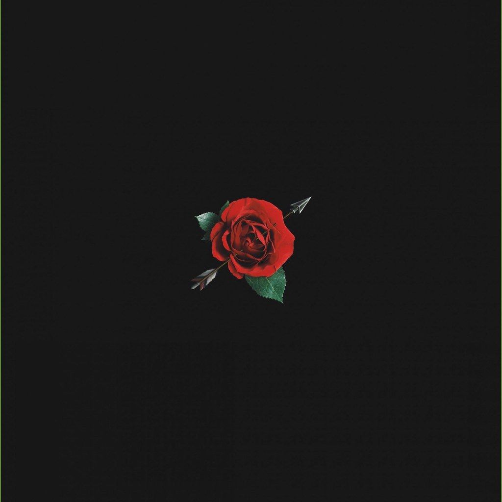 A black background with the image of an arrow and rose - Roses