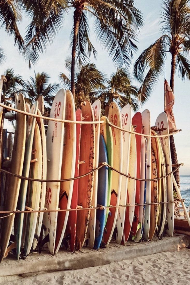 A row of surfboards on the beach - Hawaii