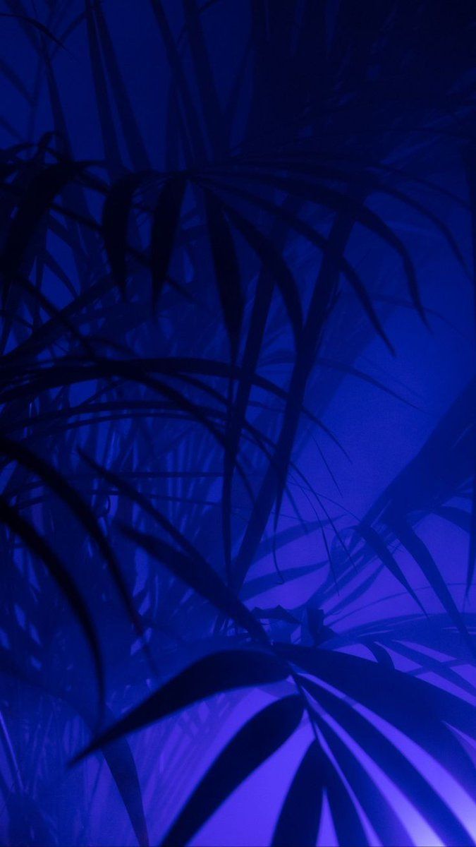 A blue palm tree - Dark blue