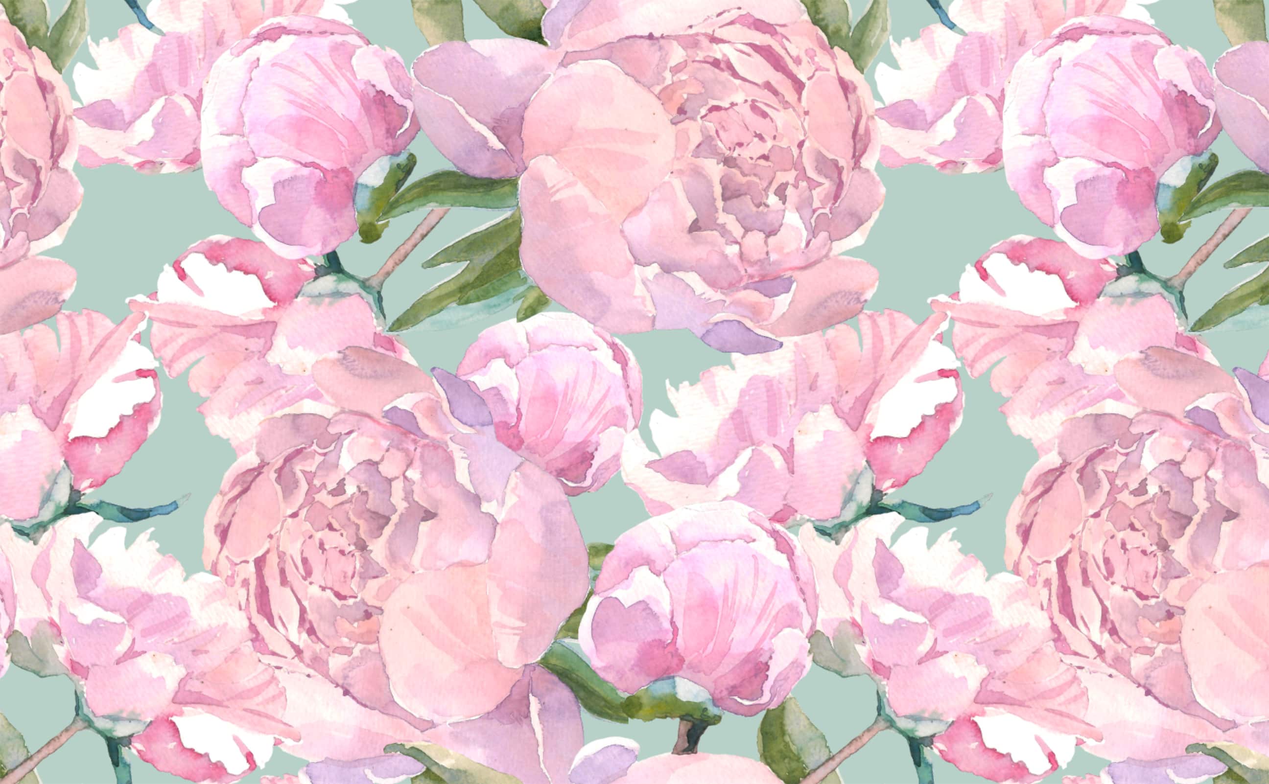 A watercolor painting of pink peonies on a blue background - Hot pink, pink, roses, cute pink, light pink, watercolor
