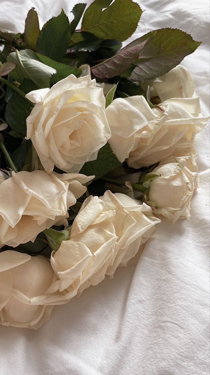 A bunch of white roses on top - Roses