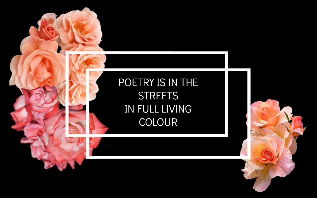 Poetry is in the streets in full living colour - Roses
