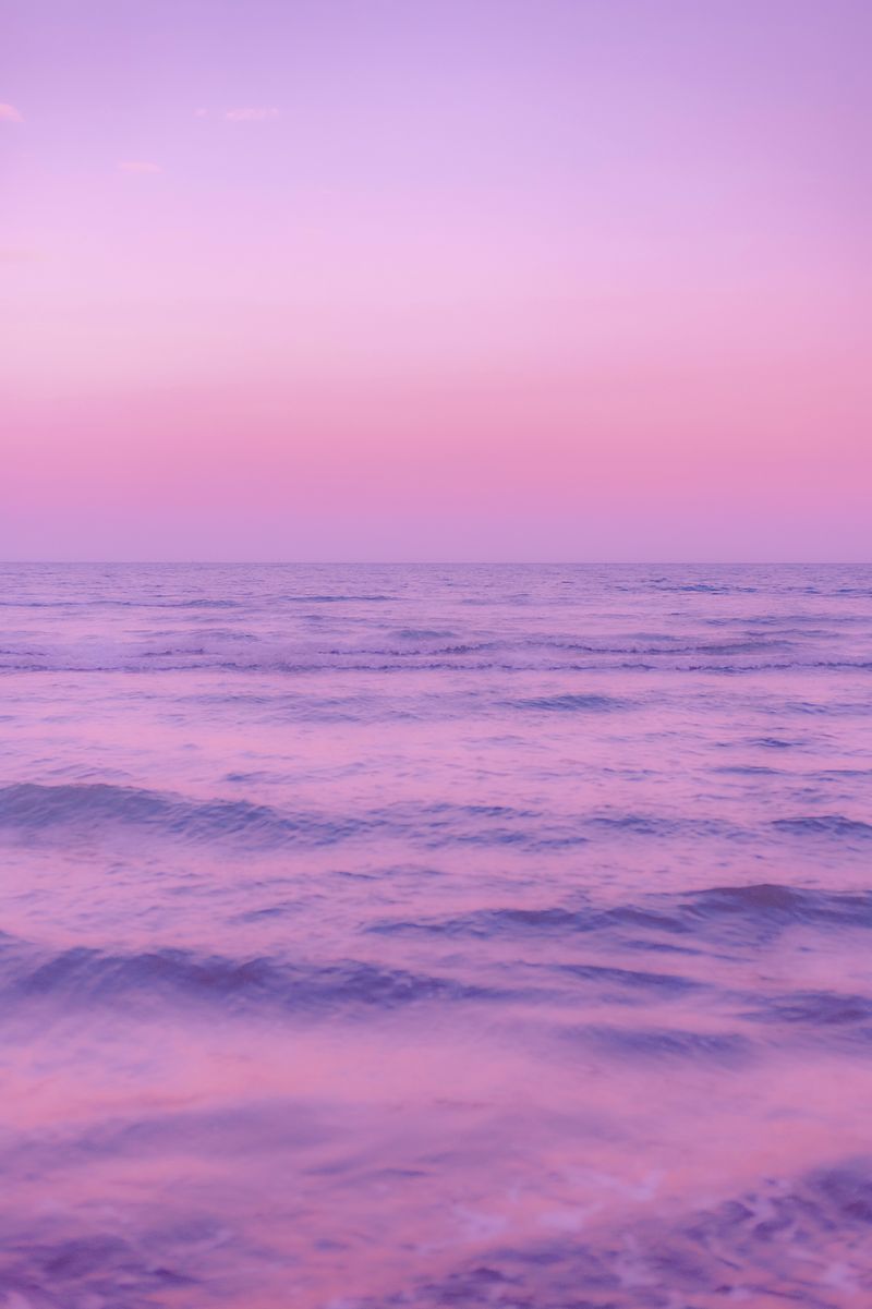 Purple Summer Sunset Image Wallpaper