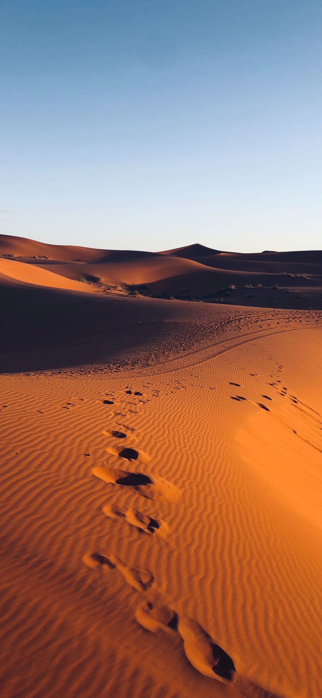 Footprints in the sand at the desert - Desert
