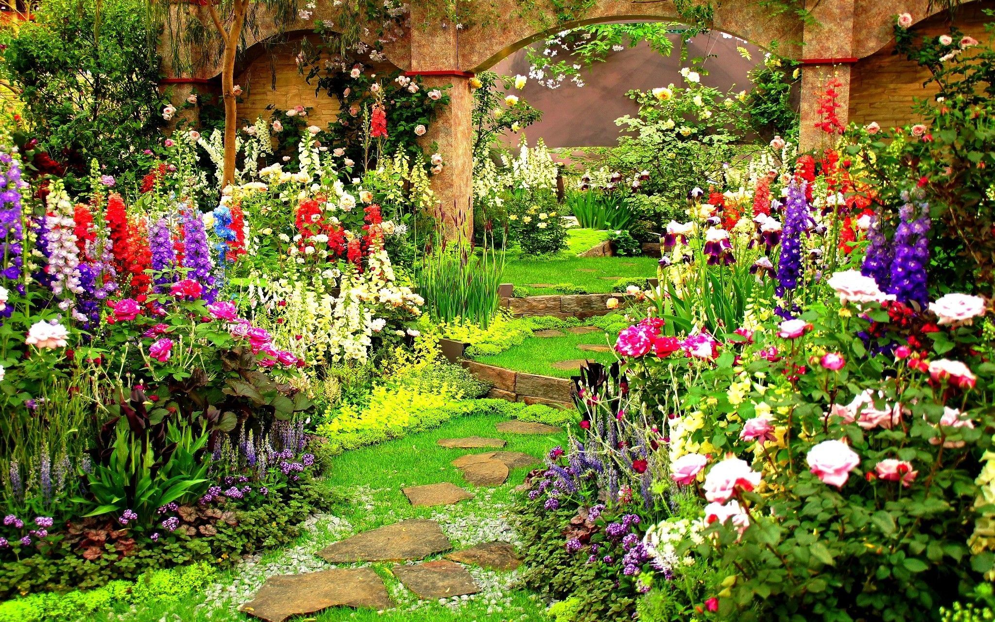 A garden with flowers and plants - Garden