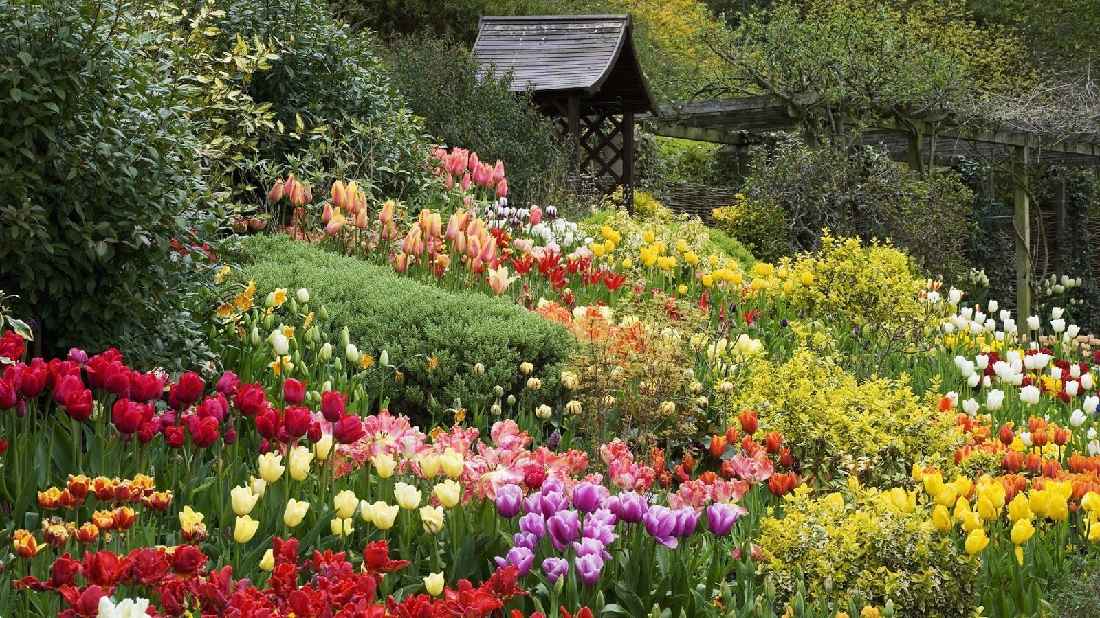 A garden with a well and colorful flowers. - Garden