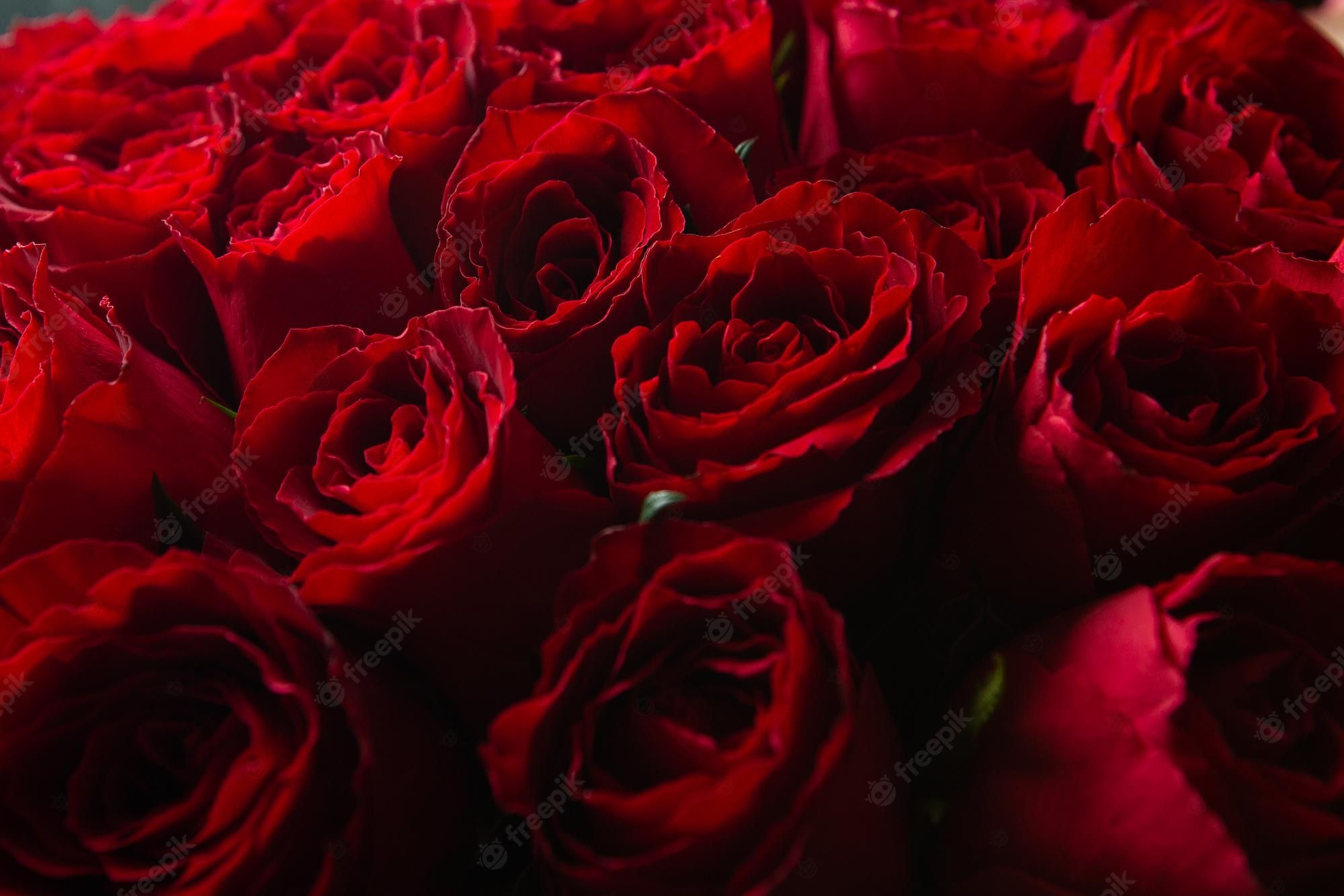 Premium Photo. Bouquet of beautiful red roses trend color classic red valentine's day selective focus roses wallpaper background