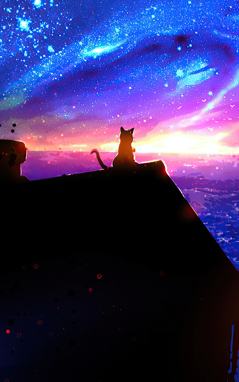 Cat On Magic Roof 4k Nexus Samsung Galaxy Tab Note Android Tablets HD 4k Wallpaper, Image, Background, Photo and Picture