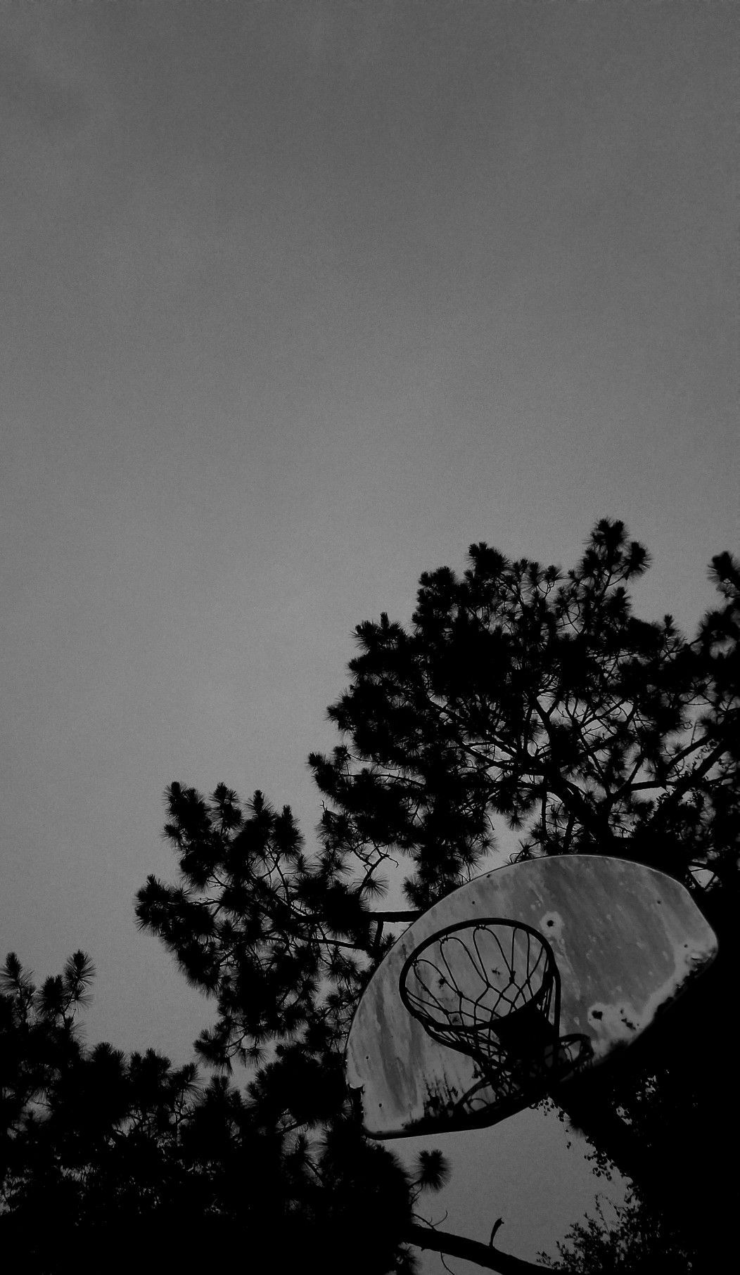 Basketball Black and White Wallpaper