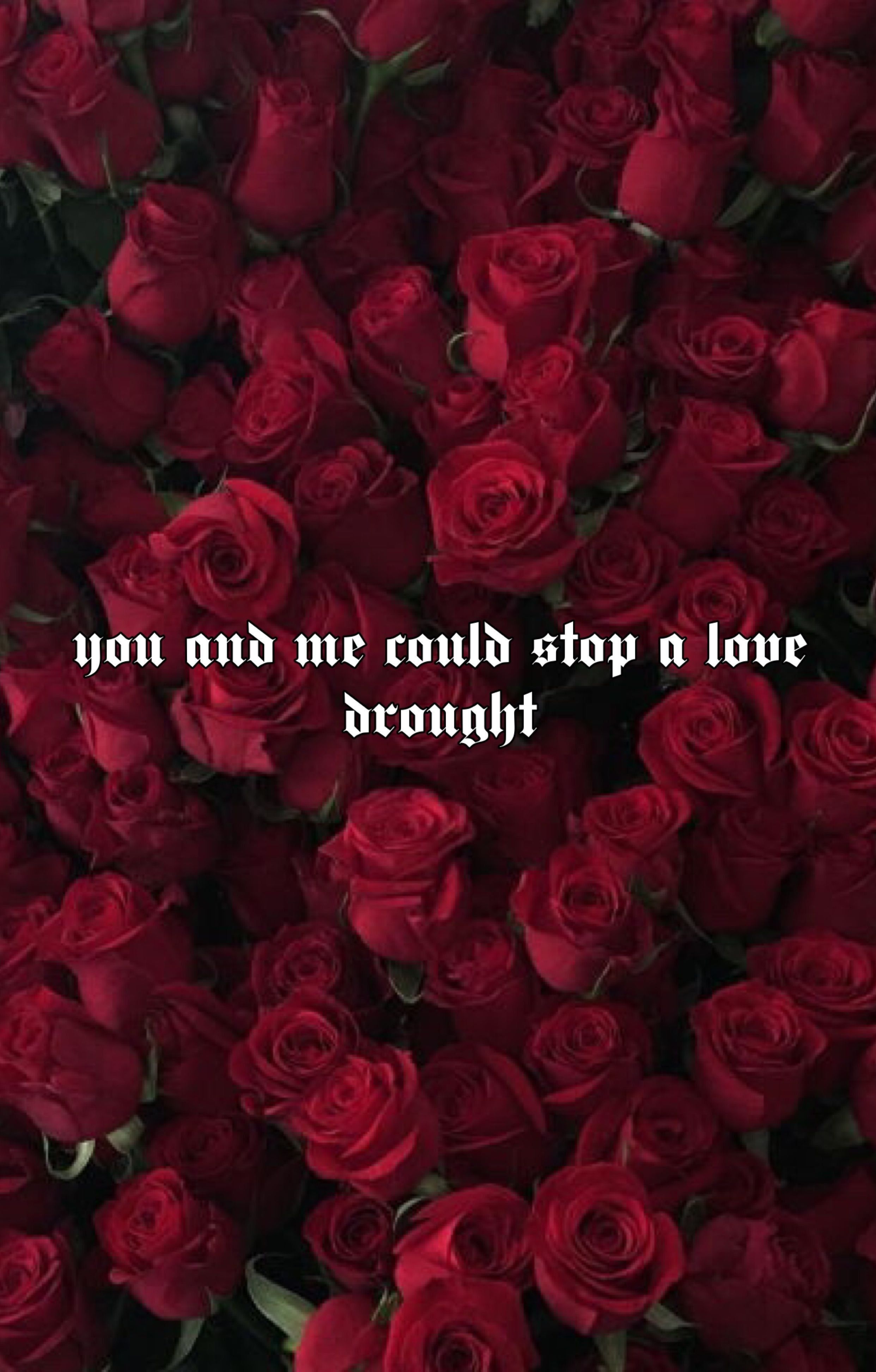 You and me could steal a love strong - Roses, Beyonce