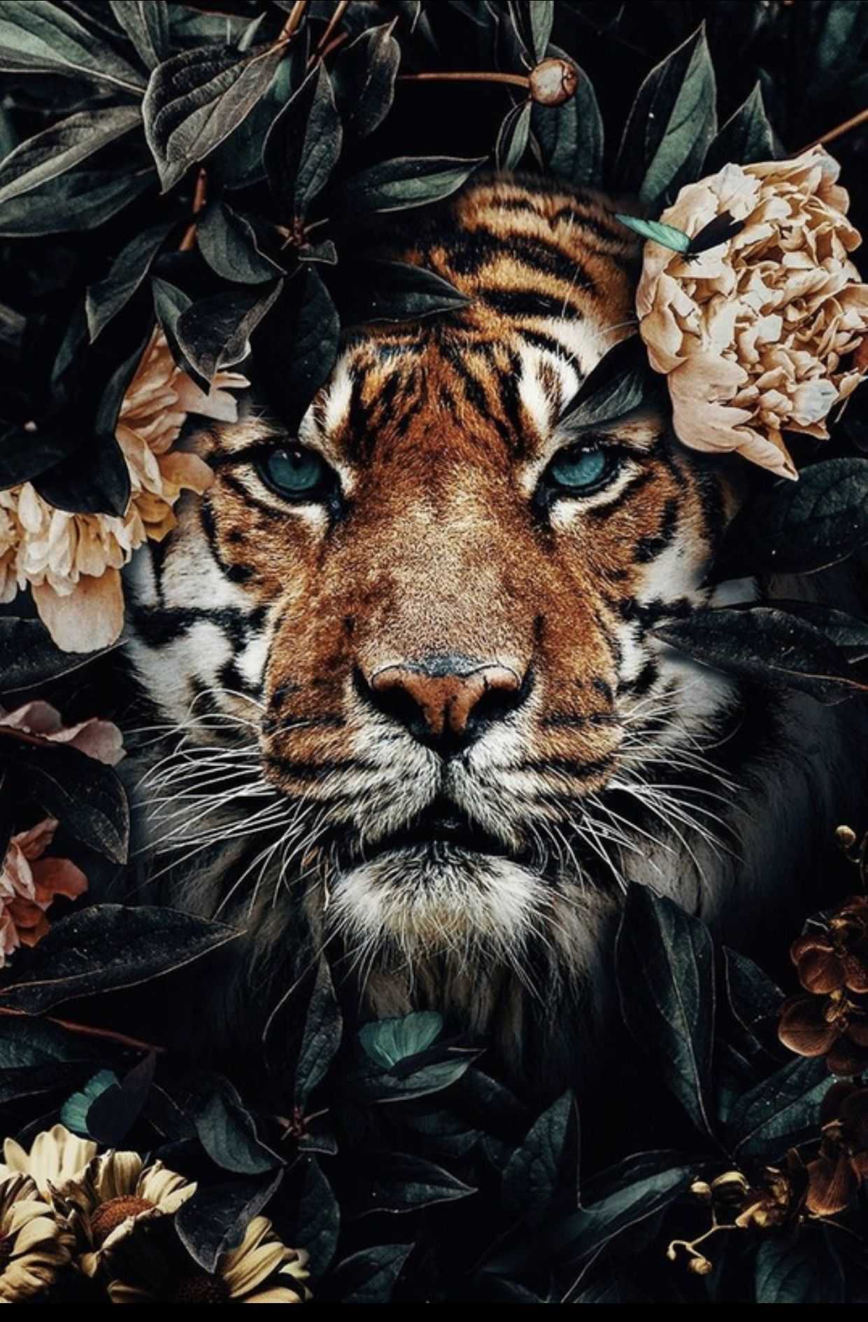 Tiger Wallpaper