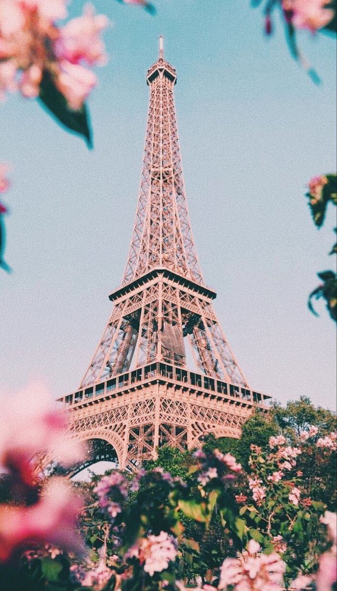A beautiful shot of the Eiffel Tower with pink flowers in the foreground. - Paris, Eiffel Tower