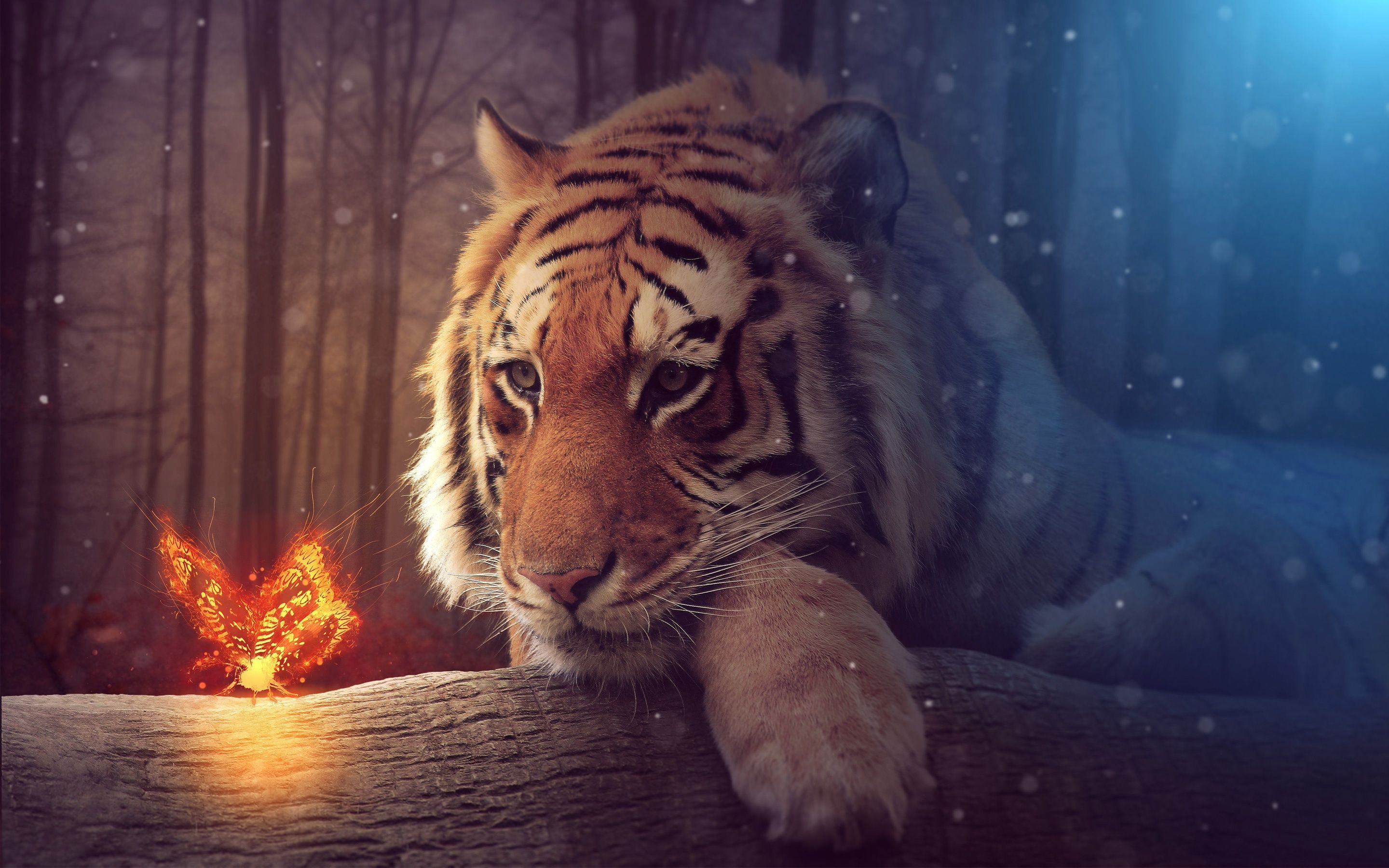 A tiger sitting on the ground with fire - Tiger