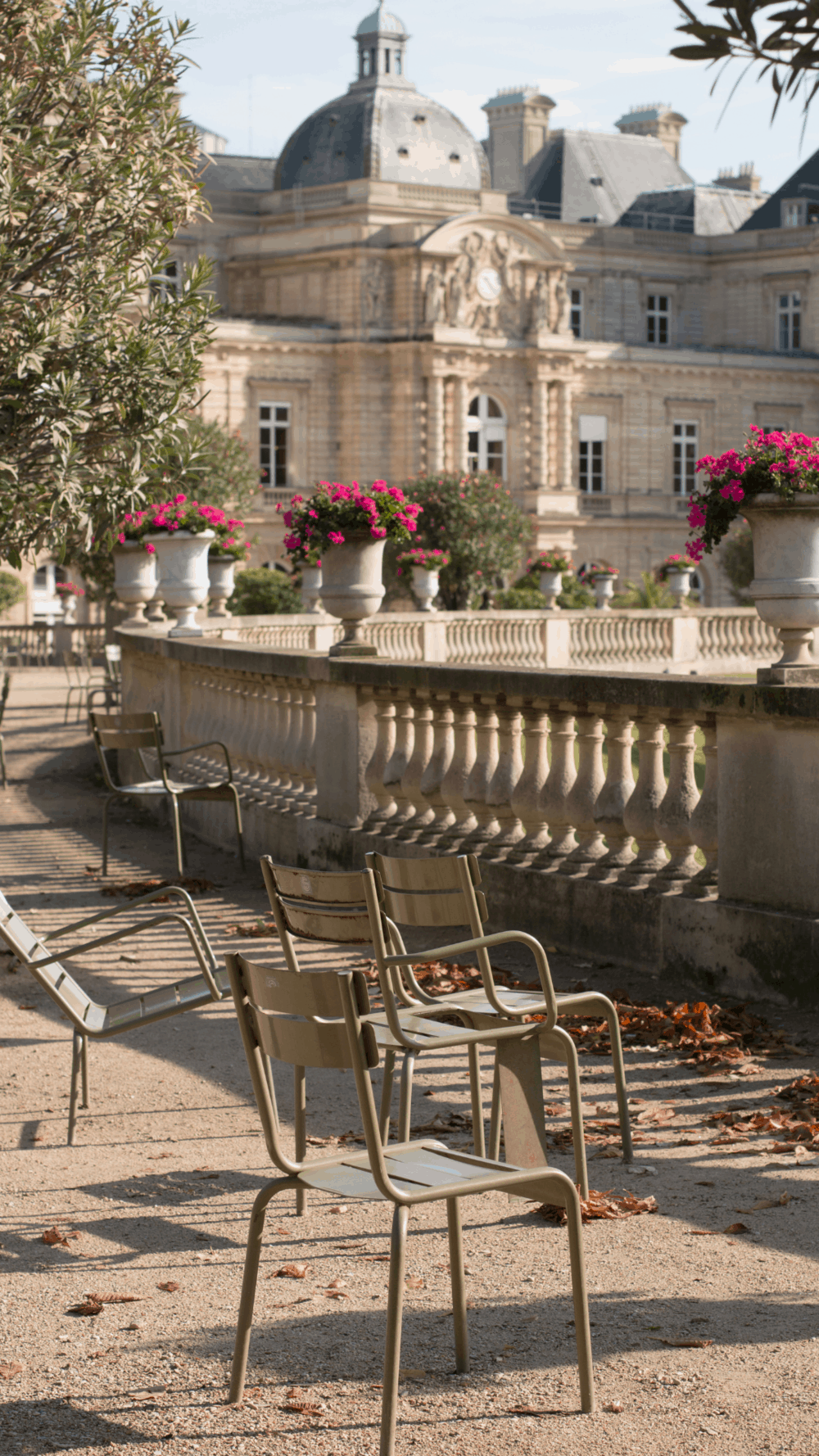 A row of chairs sitting outside in front - Paris