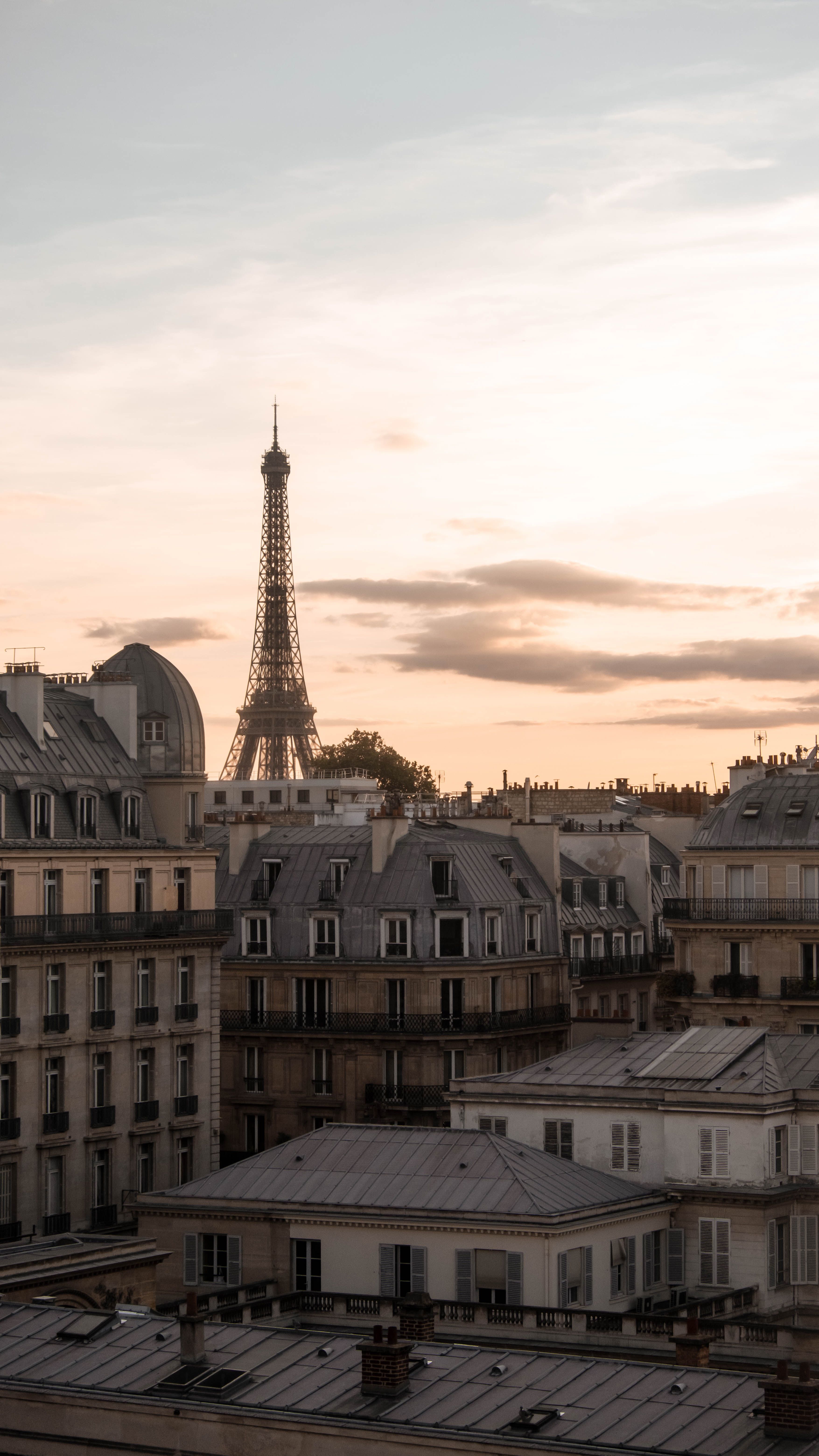 View of Paris at Sunset · Free