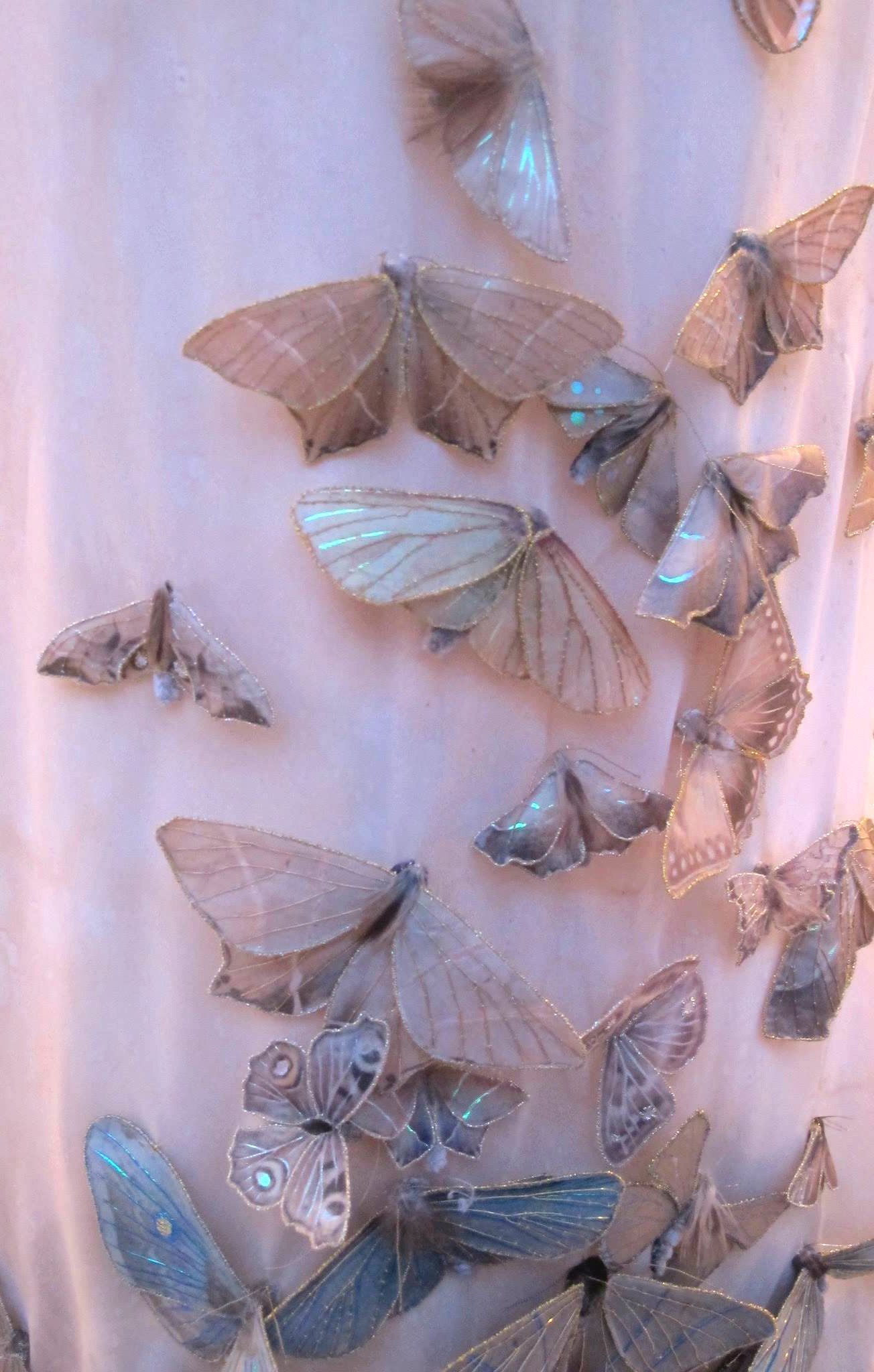 A large number of moths are on the wall - Wedding
