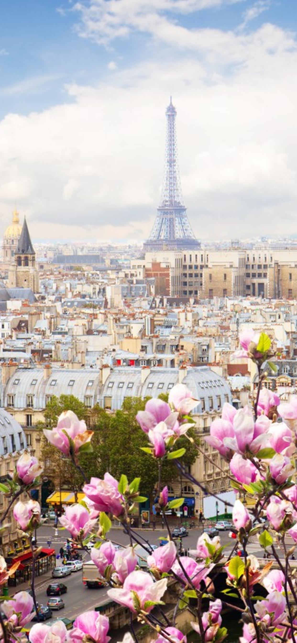 Paris cityscape with the Eiffel Tower and blooming flowers - Paris