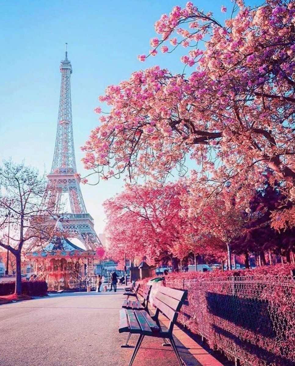 The eiffel tower and a park bench in paris - Paris