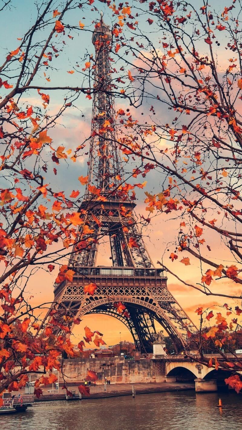 The eiffel tower is surrounded by autumn leaves - Paris, London, travel, Eiffel Tower