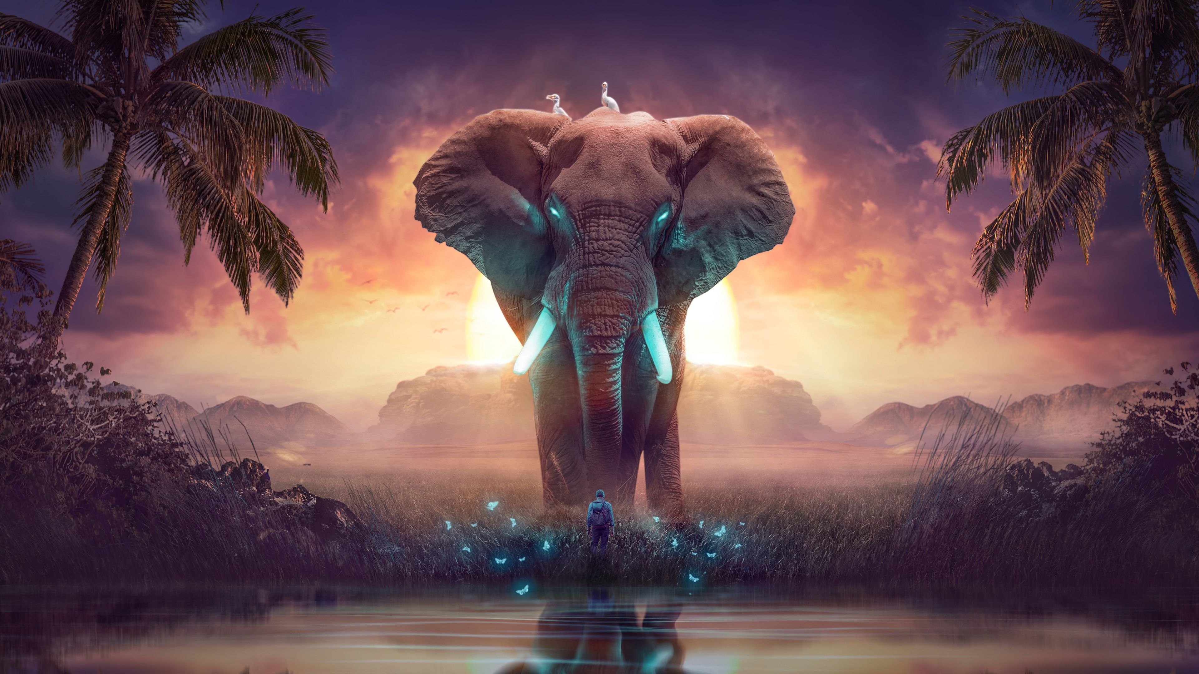 Elephant Wallpaper 4K, Dream, Mysterious, Fantasy