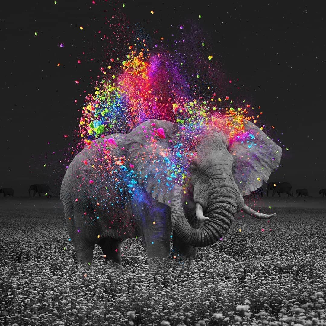 A colorful elephant in the middle of some flowers - Elephant