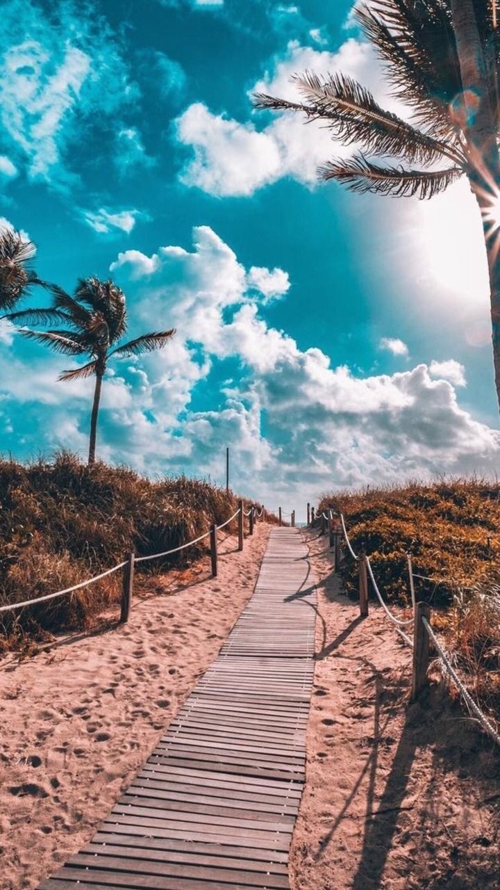 A wooden walkway leads to the beach - Summer, photography, Florida