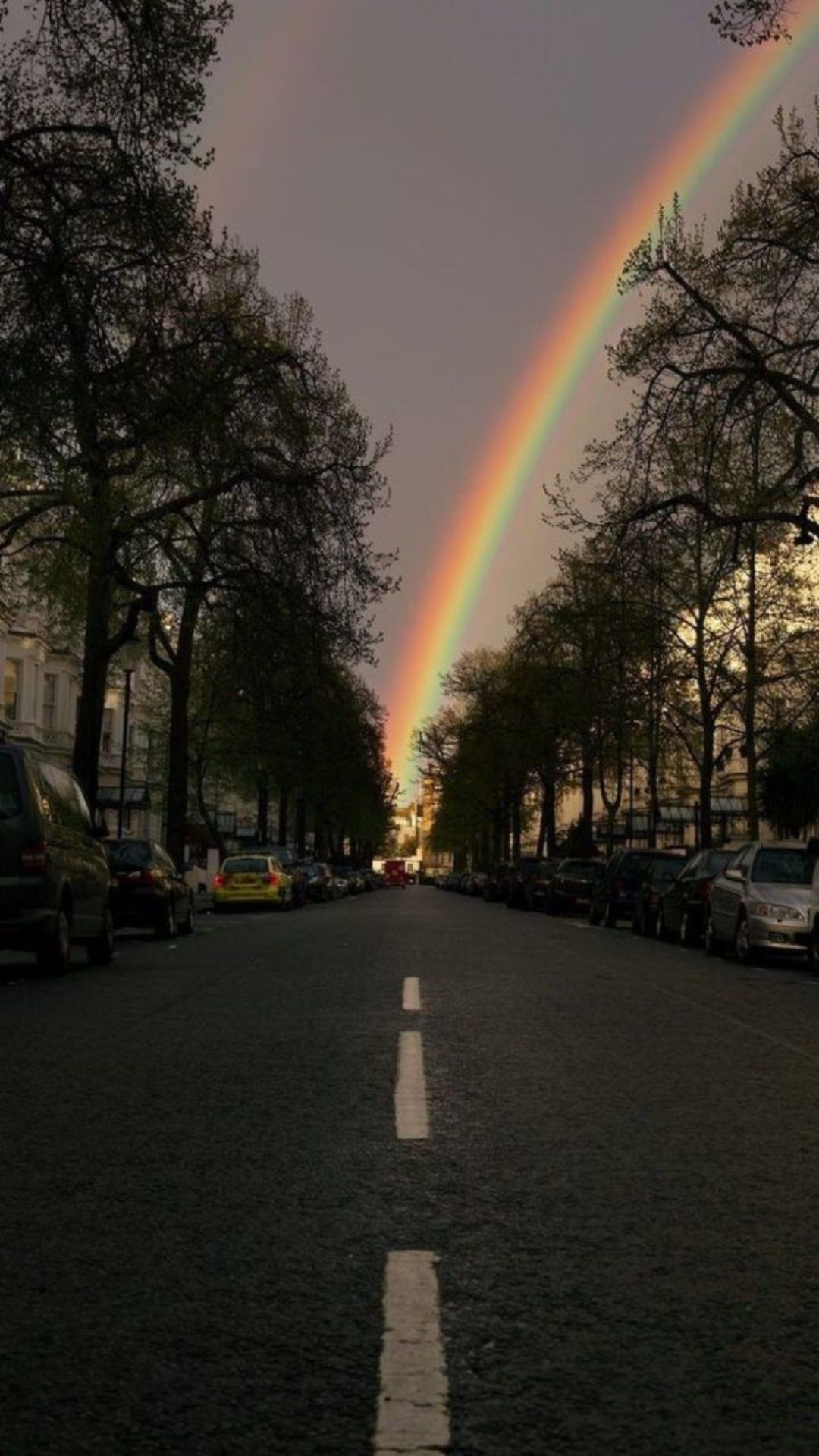 Rainbow over the road - Rainbows