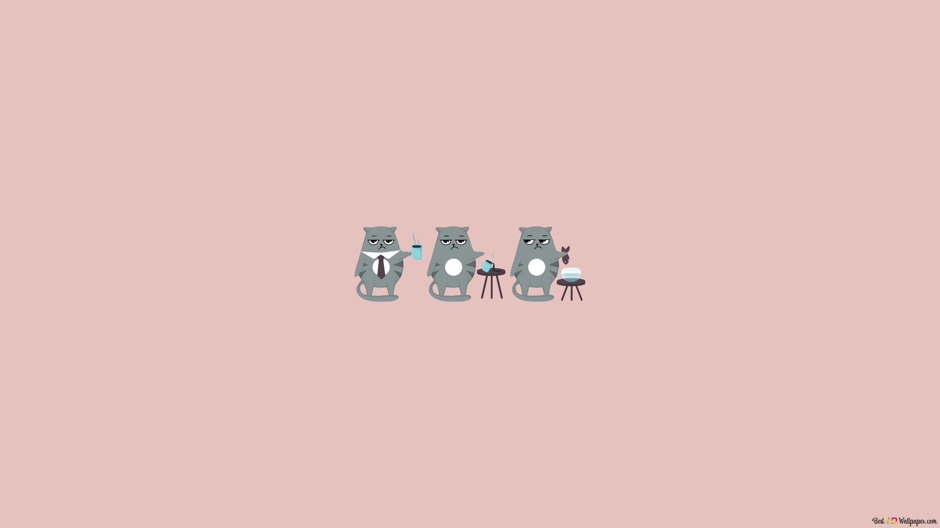Three cats sitting on a pink background - Desktop, cat, minimalist