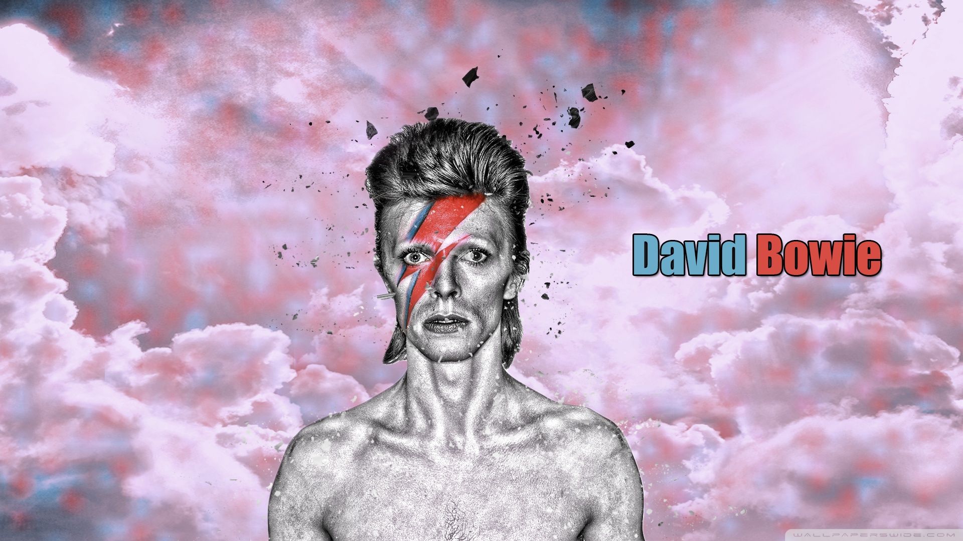 The david bowie wallpaper - David Bowie